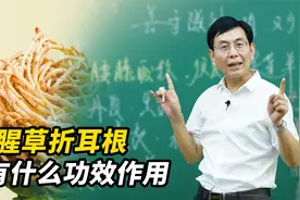 鱼腥草有什么功效？这3个作用尤为突出，很少有人知道视频封面