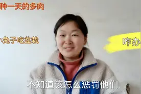 该怎么惩罚它们？刚种1天的盆栽多肉被小兔子咬的一塌糊涂，心疼视频封面