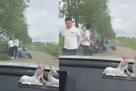 笑翻！安徽一大爷骑车掉沟后，2小伙出手相助，3秒后大爷又掉沟里视频封面