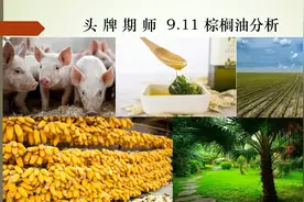 9.11期货分析（棕榈）—MPOB助攻空头，多方人气逐步消散视频封面