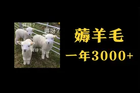 一年躺赚3000+，可转债打新保姆级教程