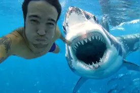 真替这哥们捏了一把汗  你说谁会吃了谁？？？