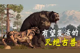 有望被复活的灭绝古兽，1.2万年前灭绝的剑齿虎要复活了？