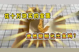 小学生花十万块买的金蛋能孵化出金鸡？