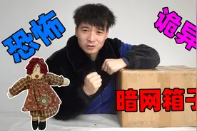 200美元暗网盒子，里面乱七八糟的东西太多了，是恐怖故事？视频封面