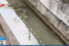 河沟散发阵阵恶臭，根源究竟在哪里？