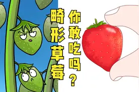 畸形草莓你敢吃吗？视频封面