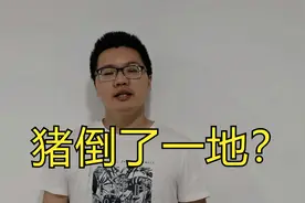 一进猪场，猪倒了一地，还在喘大气？养猪人夏季警惕！视频封面