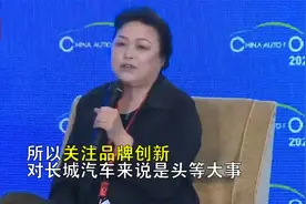 长城汽车总裁王凤英：关注品牌创新是头等大事视频封面