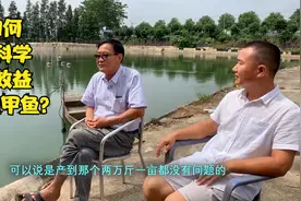 如何更科学简单的养殖甲鱼视频封面