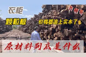为什么索菲亚欧派用颗粒板，板材原材料是什么，这些你必须要知道视频封面