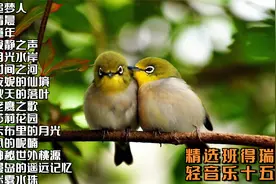 精选班得瑞轻音乐15首《安妮的仙境》《月光水岸》《清晨》视频封面