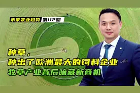 种草，种出了欧洲最大的饲料企业！牧草产业背后暗藏新商机视频封面