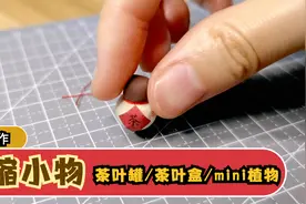 【微缩】手工制作mini植物&茶叶盒&茶叶罐(diy小屋茗香居材料)视频封面