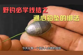 钓鱼人必学的野钓线结：通心铅坠的绑法
