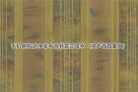 手机喇叭进水排水音频震动排水（把声音放最大）【转载】视频封面
