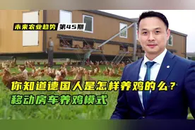 你知道德国人是怎样养鸡的么？ 移动房车养鸡模式视频封面
