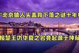 “北京猿人头盖骨下落之谜十年归报楚王仇华夏”之名竟起源于神秘视频封面