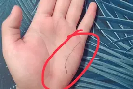 健康线与命运的关系是如何的呢，快来看看吧视频封面