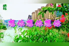 一首DJ情歌《想你想你想你》，献给有情人，相亲相爱相伴一生！