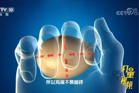 鸡蛋是很脆弱的，但用力握却握不碎，其中有何科学原理|实验现场视频封面