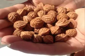 吃剩的桃核别再扔掉！它的神奇用途只有少数人知道，快学学