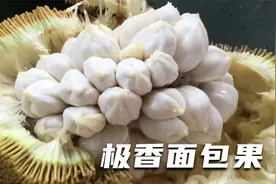 味儿太上头了！不能带进酒店的水果，极香面包果香菠萝