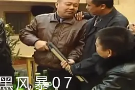 真人真事改编《赵彦临，赵彦波涉黑团伙覆灭记》视频封面
