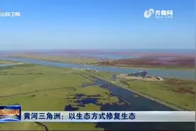 黄河三角洲畅“饮”黄河水，以生态方式修复生态，现场画面太壮观