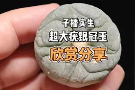 小精品丨子播实生超大疣银冠玉，欣赏分享视频封面
