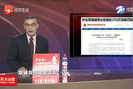 顶格罚款“作业帮”“猿辅导”被罚250万视频封面