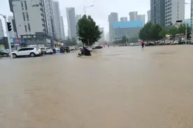 急急急！河南急需物资清单来了，此外还急需志愿者，速扩视频封面