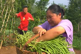 天热没胃口？胖妹腌10斤酸豆角，香辣开胃，老公：我能下2碗饭视频封面