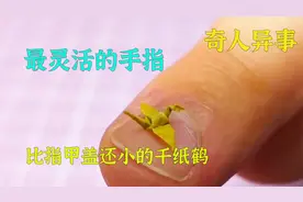 比指甲盖还小的千纸鹤，男孩自学折纸，专家看了自愧不如视频封面