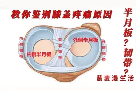 怎么鉴别你的膝盖疼痛是来自半月板还是膝盖里面的韧带？视频封面