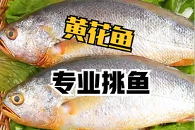 黄花鱼新不新鲜？鱼贩子：看一眼这部位就知道，一挑一个准视频封面