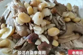 土茯苓莲子鲜百合煲老鸽汤、乳鸽含各种营养素、营养可与鹿茸媲美