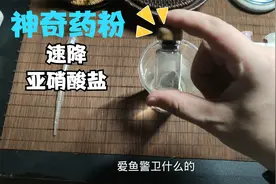 这个神奇药粉可以迅速有效的将亚硝酸盐归0，不信？您看！视频封面