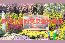 山东省济南市第四十届趵突泉金秋菊展1，一直持续到11月24日