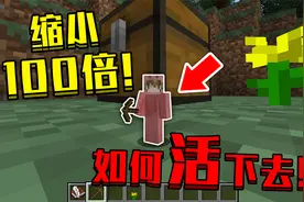 当在我的世界里被缩小100倍！和蚂蚁一样大，该怎么生存