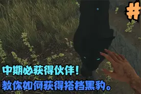 孤岛惊魂6第17期：中期必获得伙伴！教你如何获得搭档黑豹。视频封面