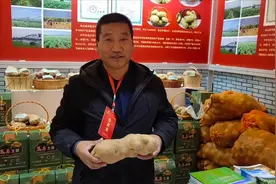 山西最好的土豆之乡，吕梁岚县，小土豆，大产业，能致富！