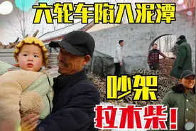 3兄弟拉木柴，三弟和二哥吵架讽刺大哥，六轮车陷入泥潭出不来了视频封面