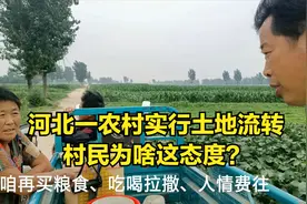 河北这个村开始土地流转，一亩地给多少钱？难怪村民这态度视频封面