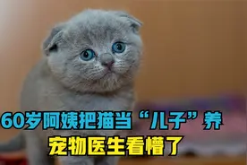 60岁的阿姨把猫咪当“亲儿子”养，满脸的宠溺，医生看的都尴尬了