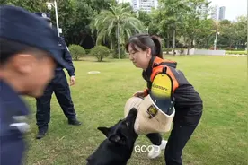 警犬是如何炼成的？凤凰记者亲身体验警犬扑咬训练｜发现大湾区视频封面