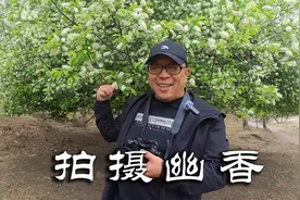 只有走出来你才能拍到美丽，闻一下这花香，感受一下这世间美好视频封面