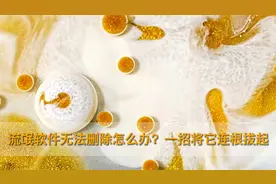 烦人的流氓软件无法删除怎么办？一招教你彻底删除它，电脑小技巧视频封面