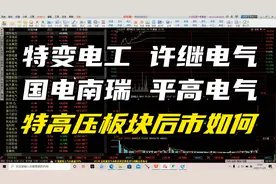 特变电工 许继电气 国电南瑞 平高电气 特高压板块后市如何？