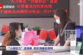 “小微权力”进清单 密织清廉监督网视频封面